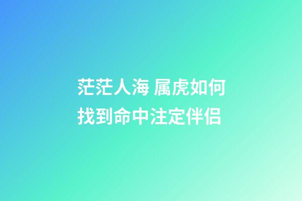 茫茫人海 属虎如何找到命中注定伴侣